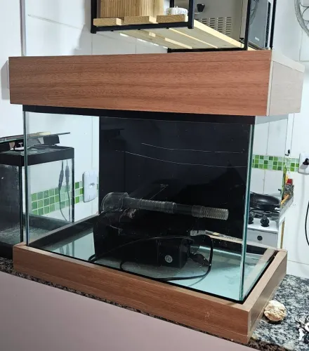 Aquário 50L com base e tampa de madeira e filtro hang on 650l/h