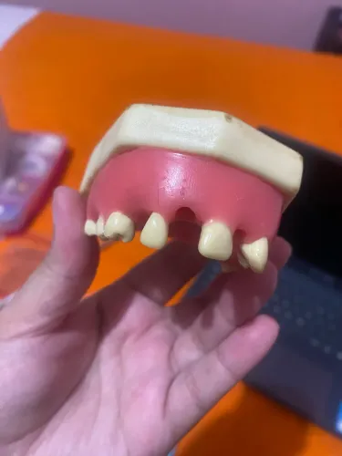 Modelo de sutura odontológica