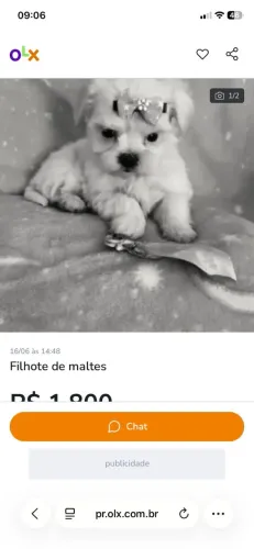 Machinho de maltes