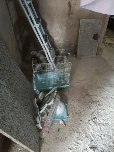 Gaiola de hamsters 