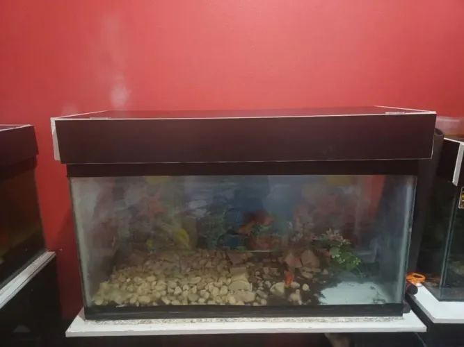 AQUÁRIO 200 LITROS