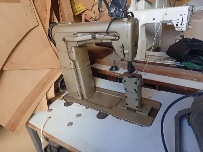 Maquina de costura proficional