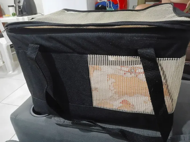 Bolsa são pet aerial