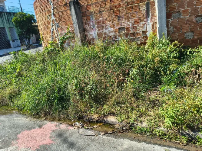 Limpeza de calçada 