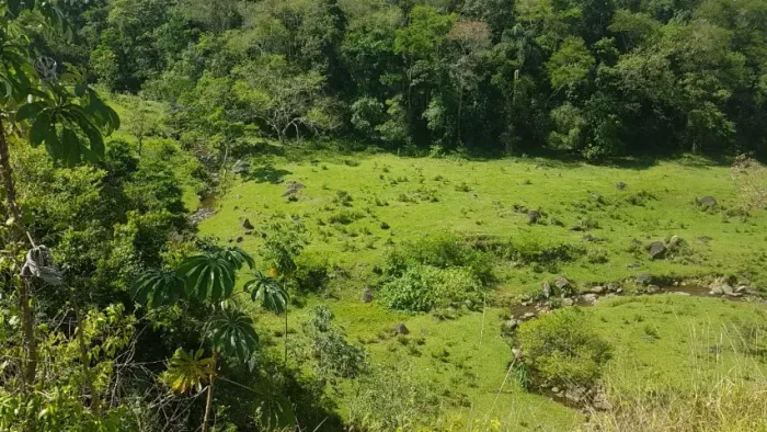 40.000m² - Serra da Mantiqueira + Riacho + Vista Panorâmica