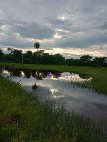 Sítio com 4 dormitórios à venda, 133100 m² por R$ 1.250.001,00 - Zona Rural - Tanabi/SP