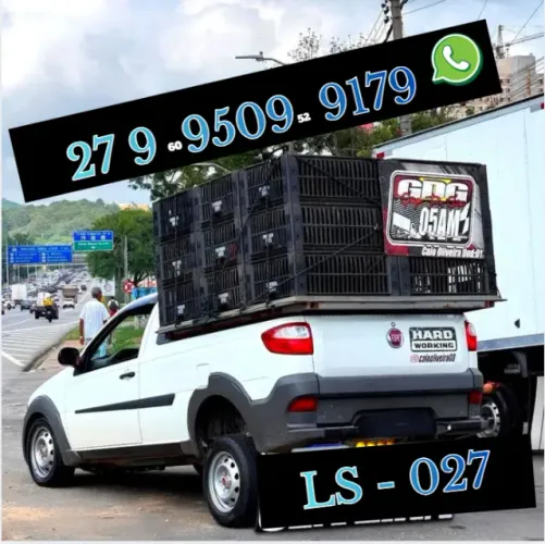 FRETE REGIÃO 5 VILA VELHA E TERRÃO