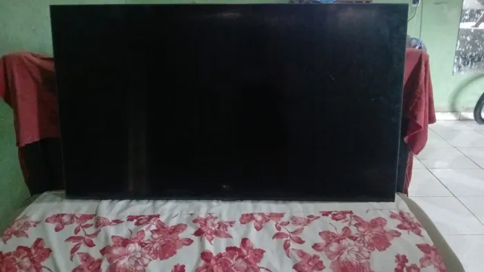 Televisão