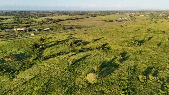 fazenda com 120 hectares na região de Monte Alegre