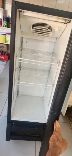 Expositor Cervejeira