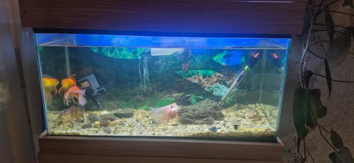 Aquario 96L c armario