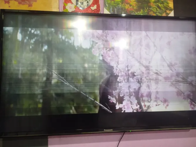 Tv de 43 polegadas Panasonic com defeito na imagem