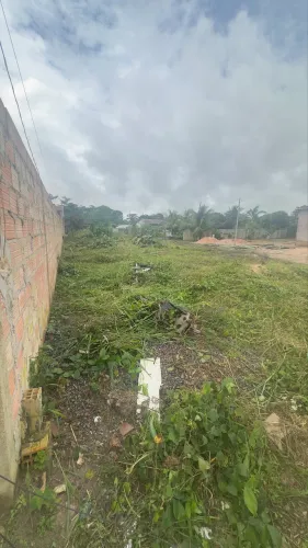 Vendo terreno em Santarém para 