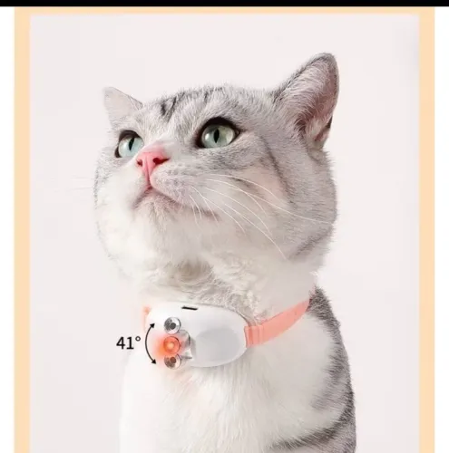 Coleira Para Gato Laser-Inteligente