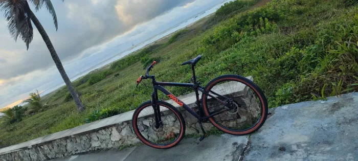 Bike Aro 29
