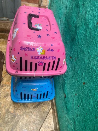 ? CAIXA DE TRANSPORTE PET SEMINOVA - R$ 20 CADA!