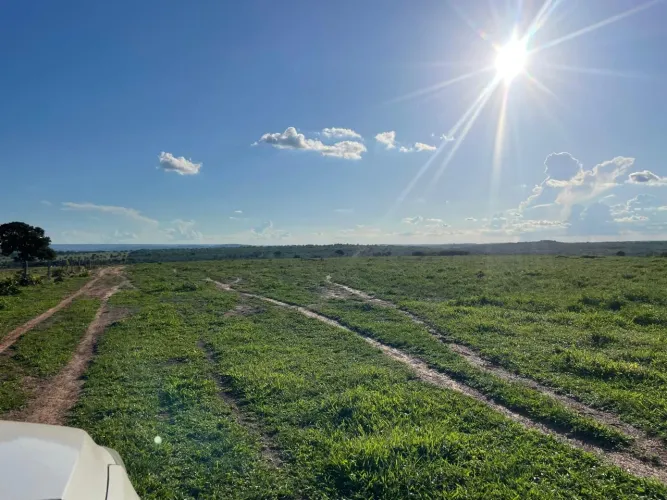 Fazenda 1.752 hect na região de tesouro MT. 35 milhões.