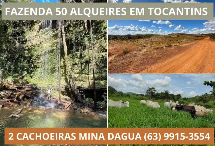 Fazenda em Tocantins, terra, sítio, Cachoeira, Agua Mina Dagua,  Porto Nacional