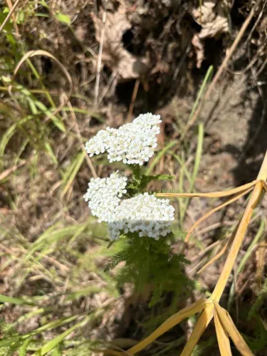 Trabalho servindo as pessoas 