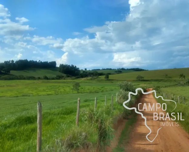 Fazenda no Sul de Minas com 157 hectares. Toda tratorável, rica em água.