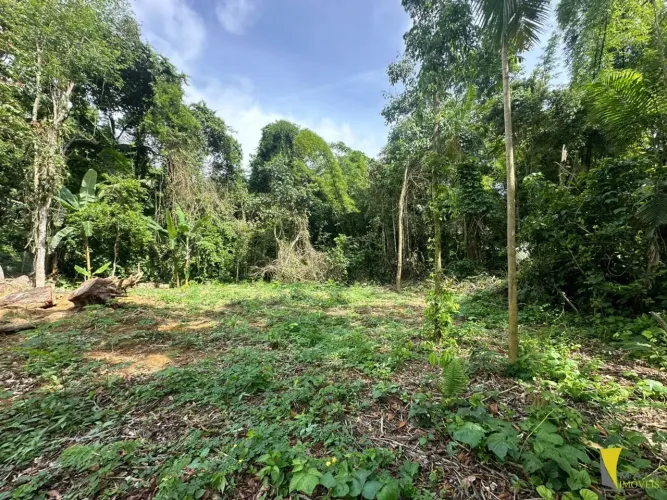 Terreno frente mar Félix em Ubatuba pronto para construção imediata