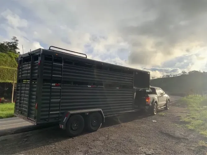 Trailer 4 Cavalos Boideiro Zero KM