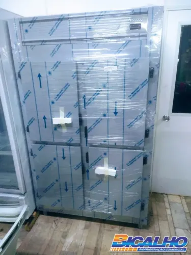 Mini camara 4 portas Gelopar