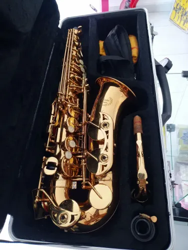 Sax Alto Dourado Profissional Completo Mi Bemol 