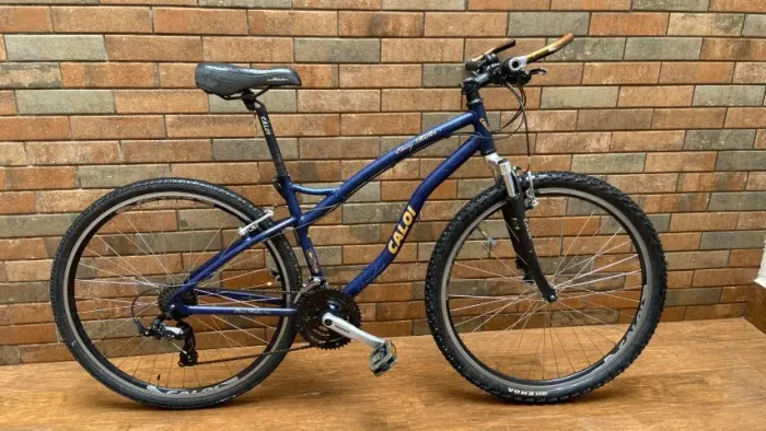 Bike Caloi Easy Rider Comfort