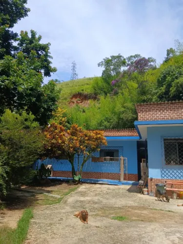 Vendo este sítio entre Mendes e Eng Paulo de Frontin