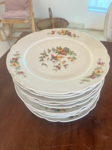 11 pratos rasos em porcelana Real linha ave do paraíso década 50/70