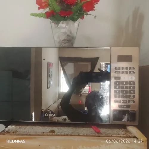 Microondas