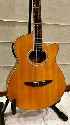 Violão Tagima Vegas Eletroacústico EQ-2054 - Excelente Estado