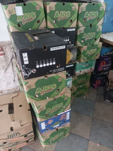 Caixa de alho 10 kilo