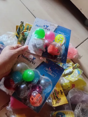 Brinquedos pra pet novo