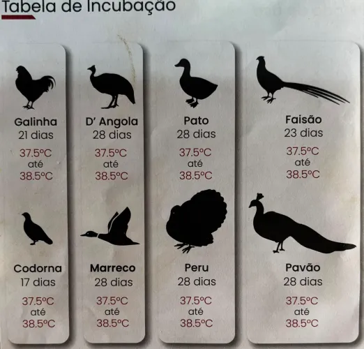 Vendo chocadeira 30 Ovos.