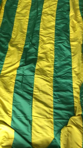 Bandeira do Brasil ( com as cores do Brasil)