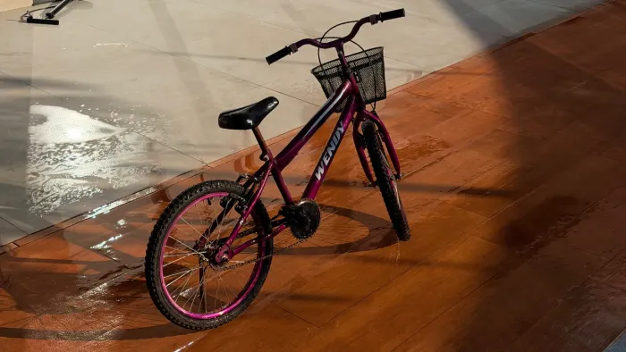 Bicicleta infantil Aro 20 Wendy