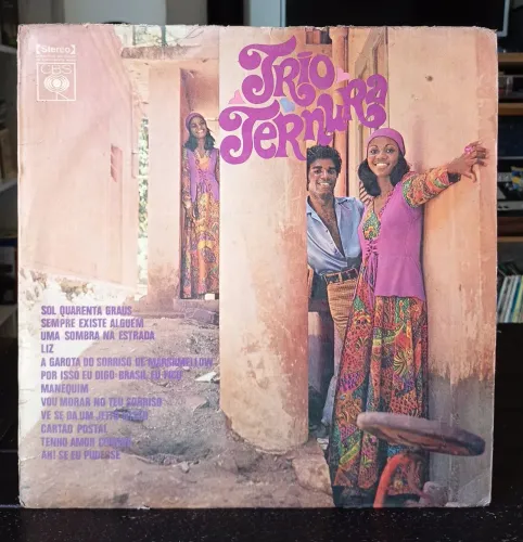 DISCOS DE VINIL LP TRIO TERNURA 1971 ORIGINAL