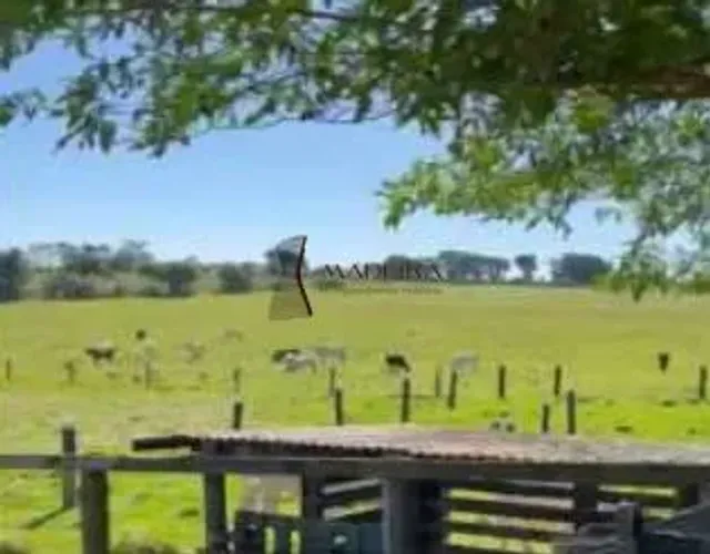 Área à Venda em Centro, Cruzeiro do Oeste - PR