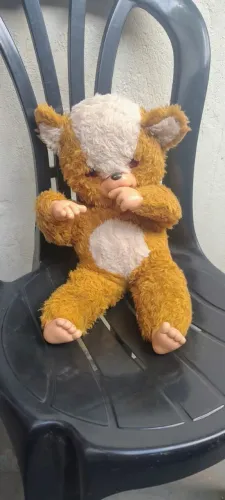 Urso peposo da estrela antigo