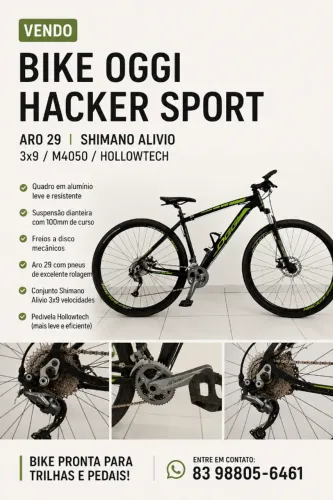 Bicicleta Aro 29