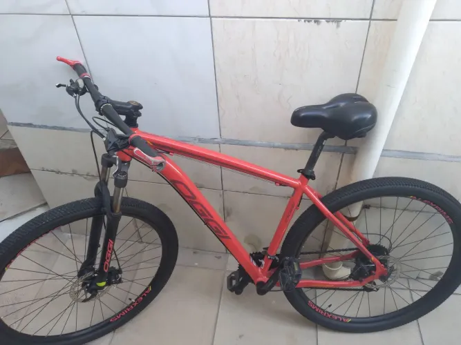 Bicicleta oggi aro 29