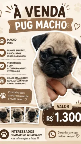 Filhote de cachorro