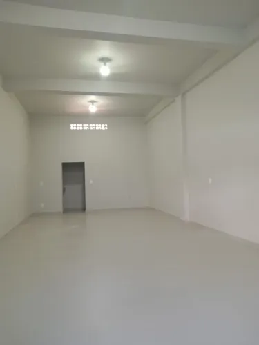 Alugo loja