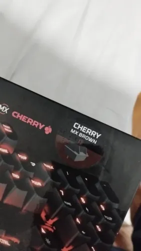 TECLADO HYPERX ALLOY FPS
