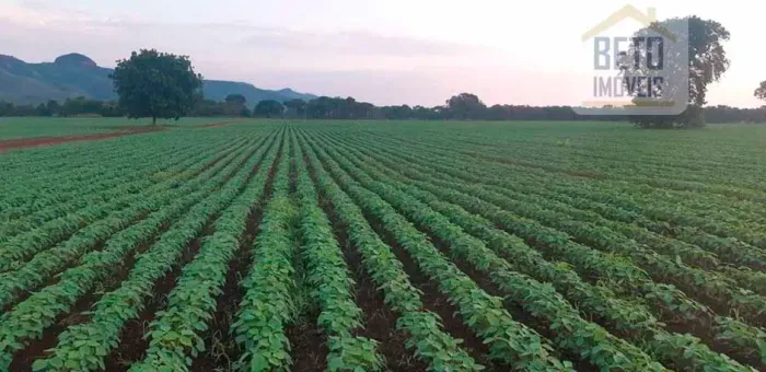Fazenda/Sítio/Chácara para venda possui 150000000 metros quadrados
