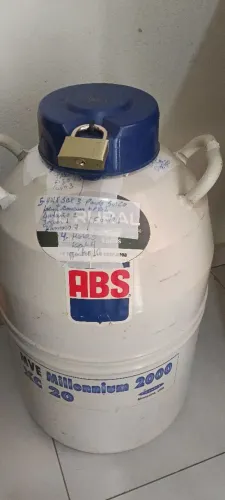 Botijão