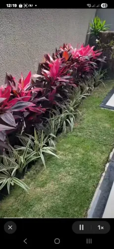 Jardineiro serviços gerais