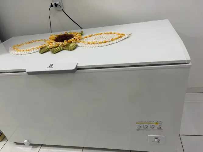 Vende-se freezer Electrolux 513 litros 